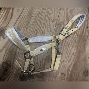 LeMieux Versailles halter